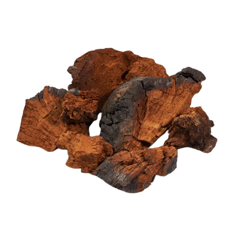 Chaga