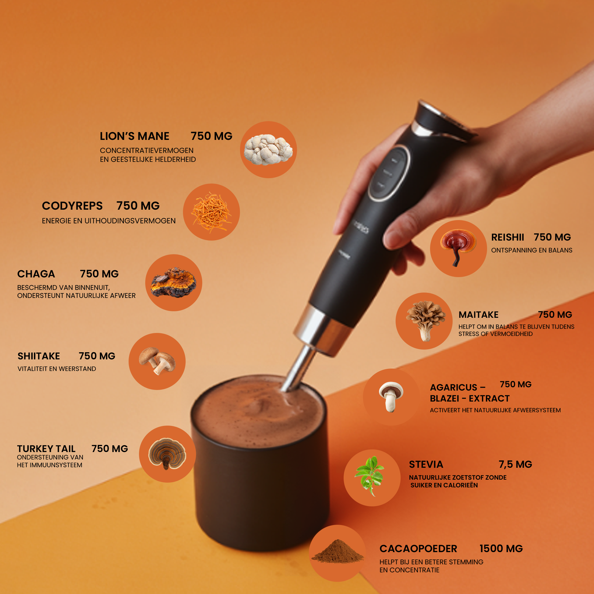Focus fuel